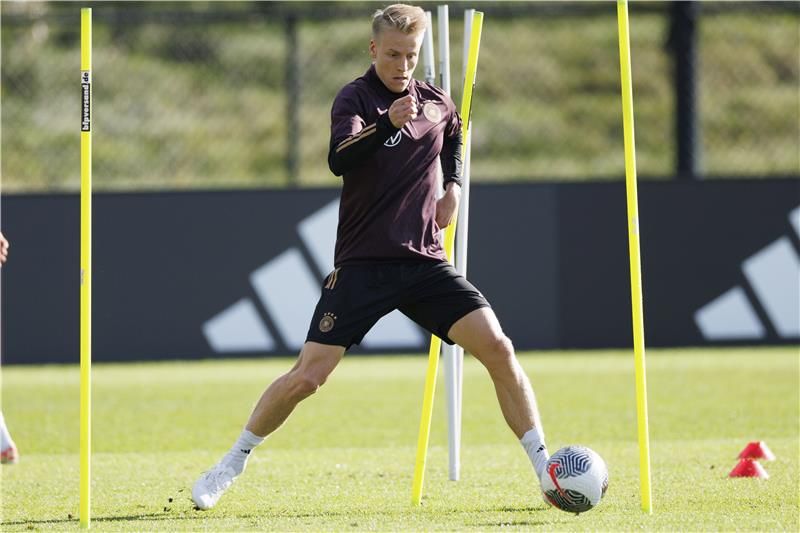 كريس فيهريش