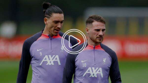 نونيز وأليستر