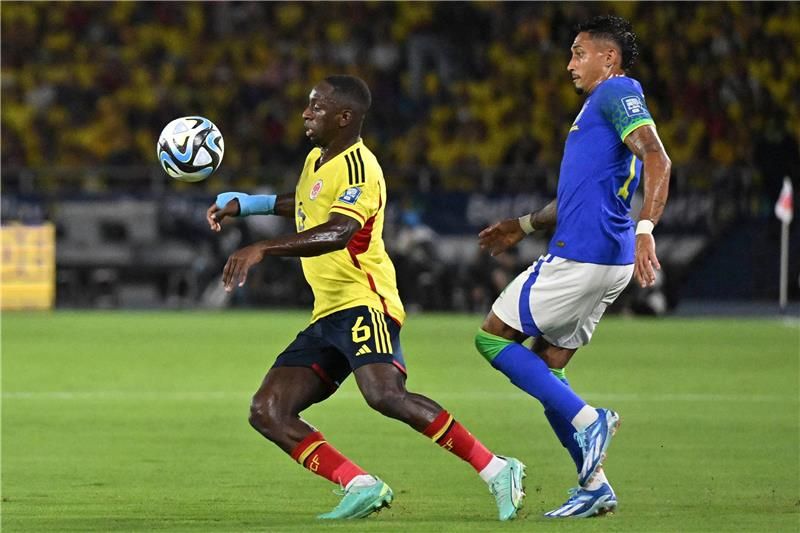 20231117-afp_343w2qj_afp