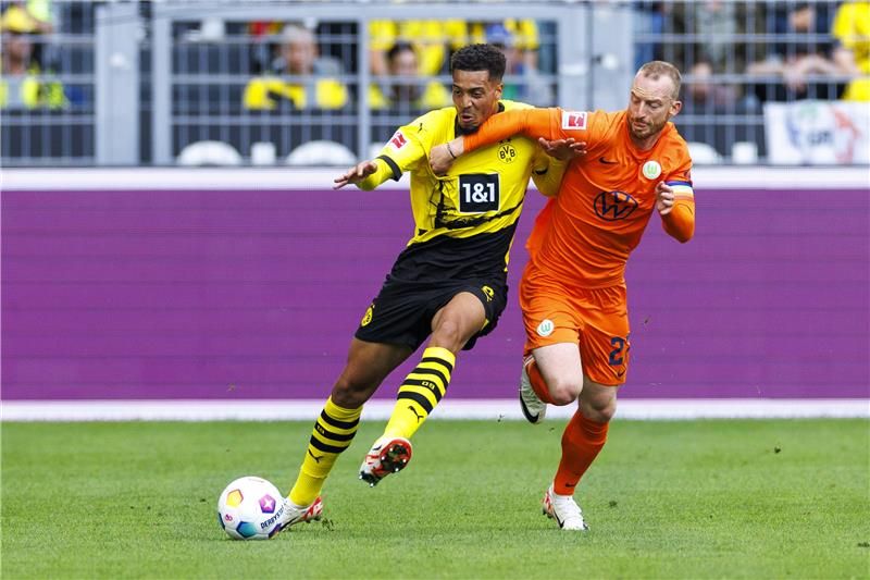 أرنولد 'يمين الصورة"