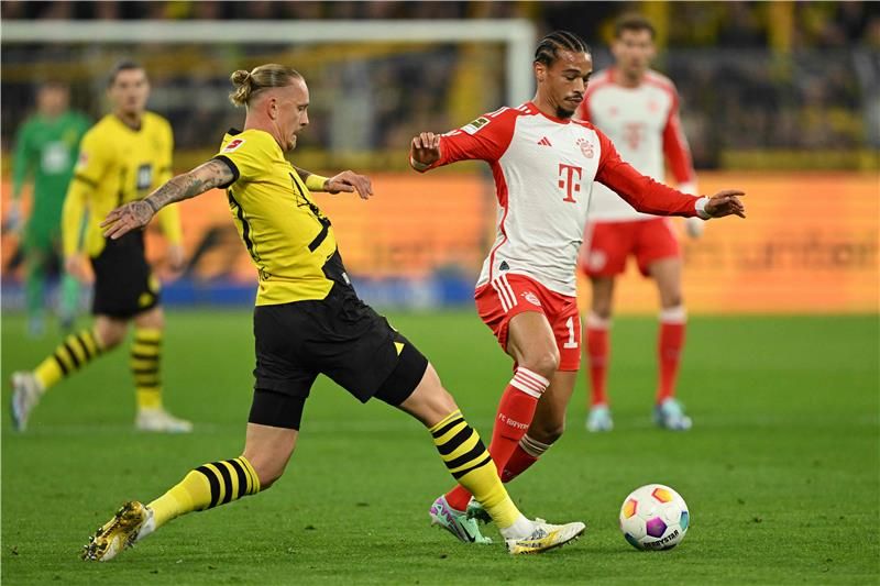 مارويس وولف