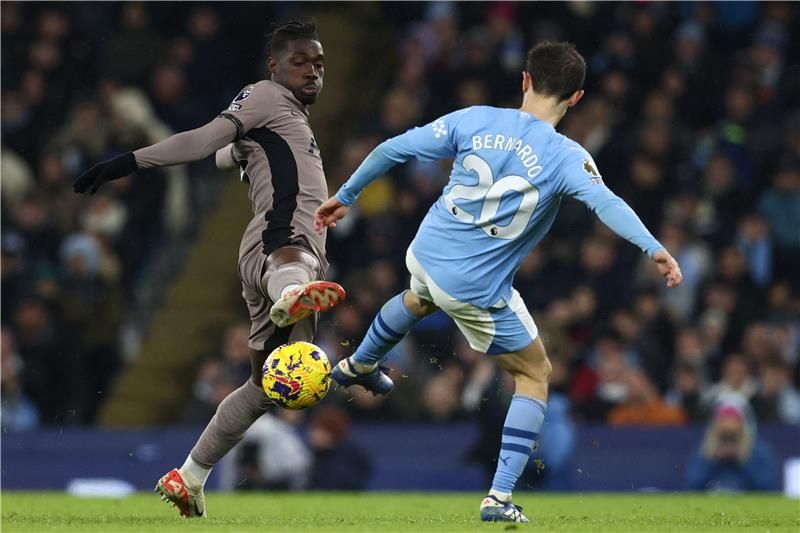 برناردو سيلفا