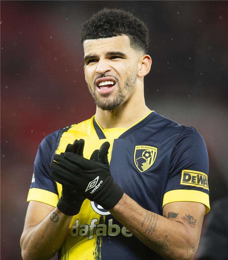 دومينيك سولانكي