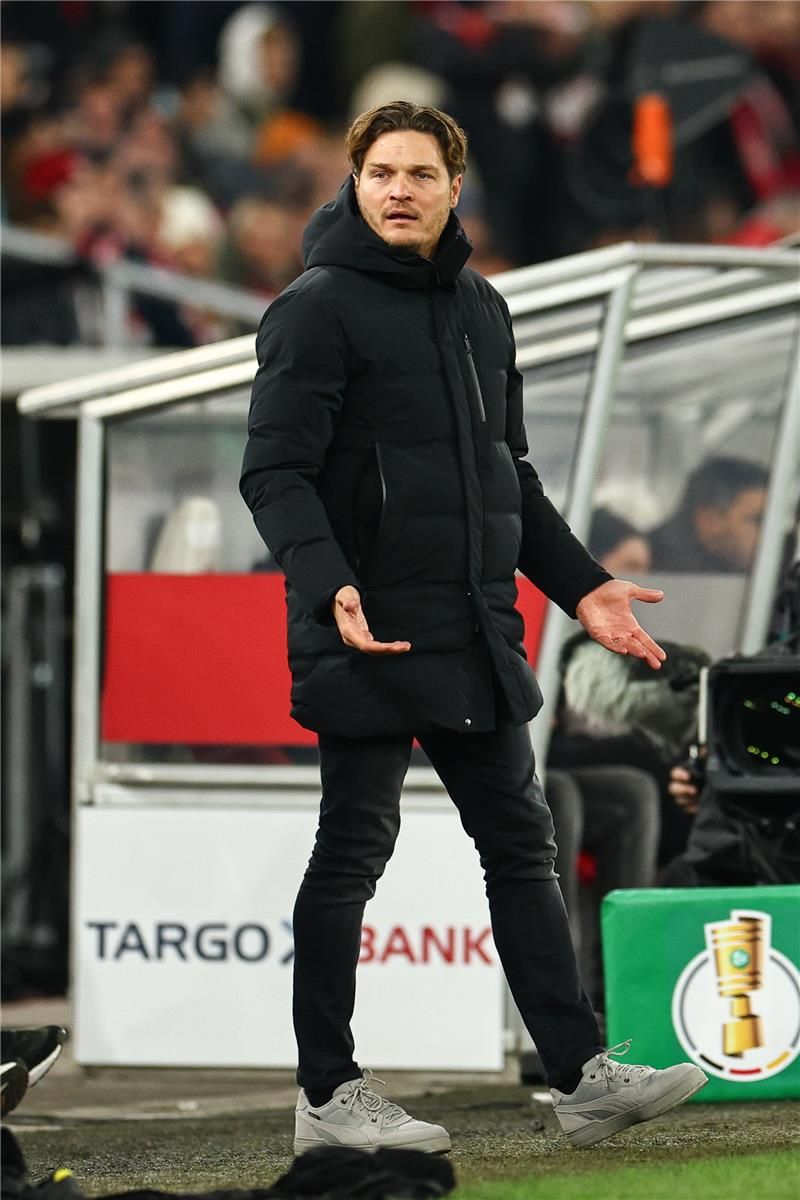 إدين تيرزيتش