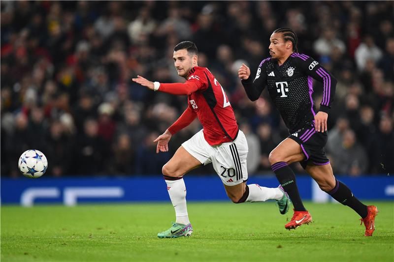 ديوجو دالوت