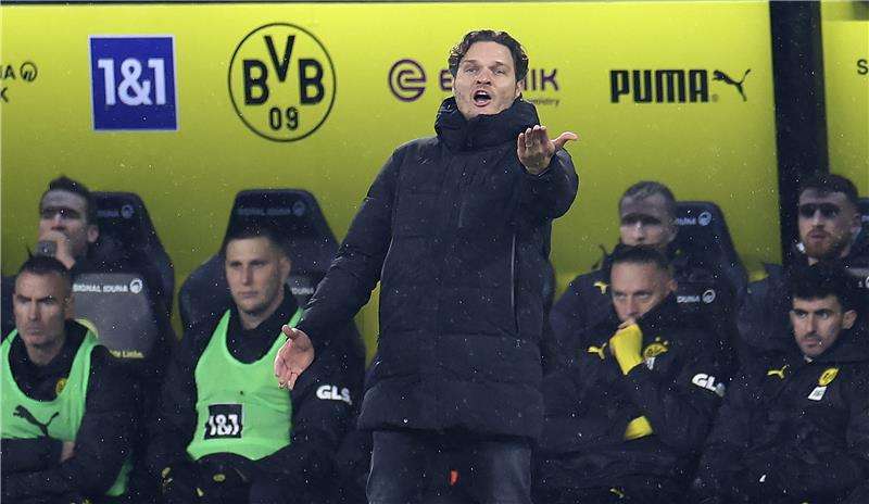 إيدين تيرزيتش