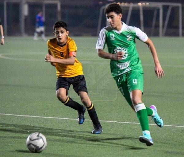 ياسين خير الدين الغزواني