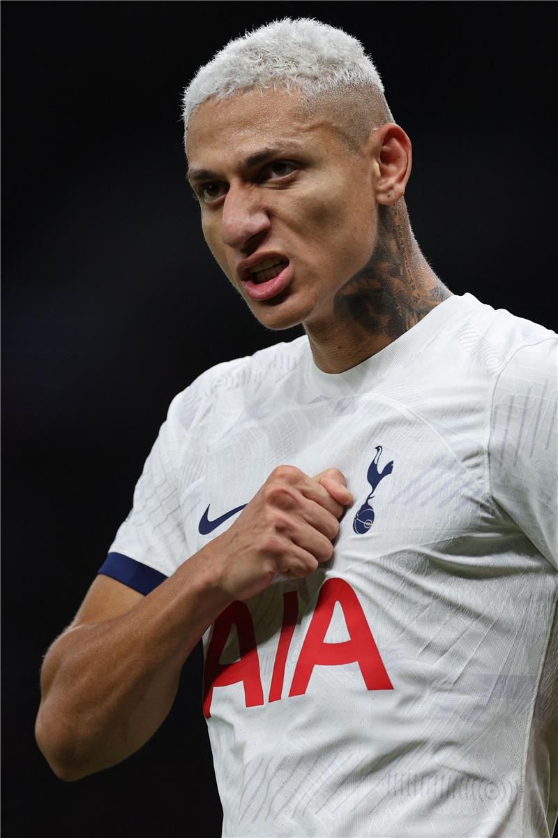 ريتشارليسون