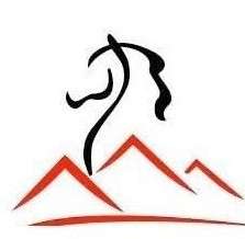 الاتحاد المصري للفروسية