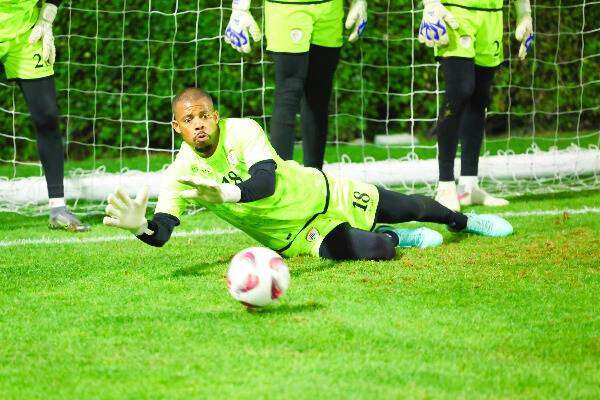 فايز الرشيدي