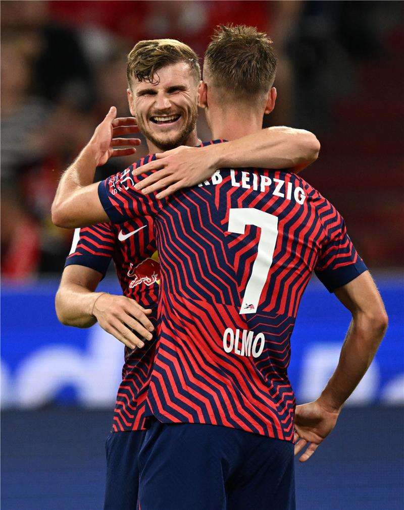 أولمو وفيرنر