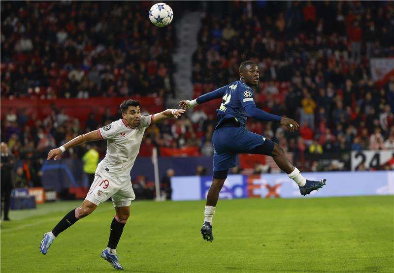 ماركوس أكونيا