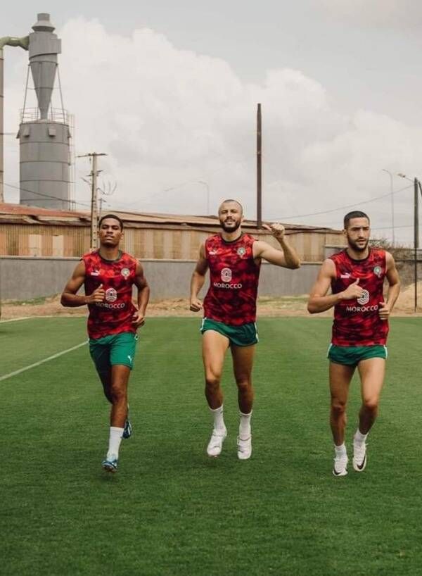 أمين عدلي ورومان سايس وزياش