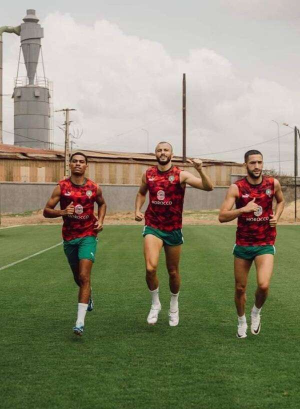 أمين عدلي ورومان سايس وزياش