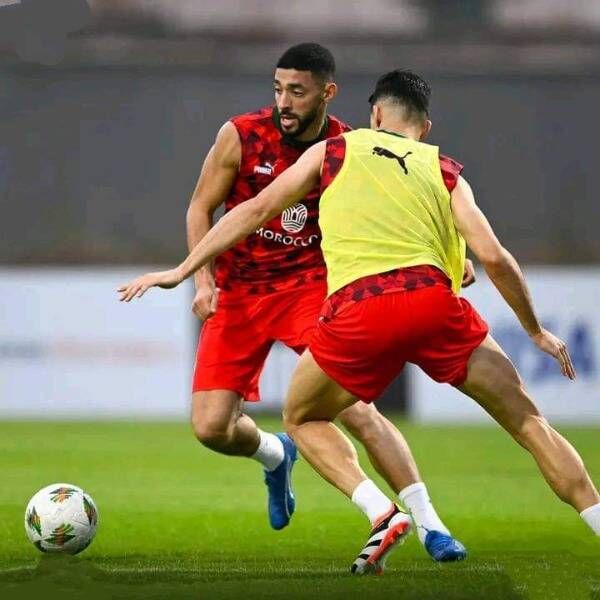 طارق تسيودالي