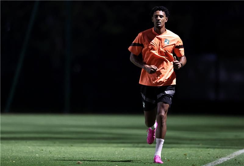 سيباستيان هالر