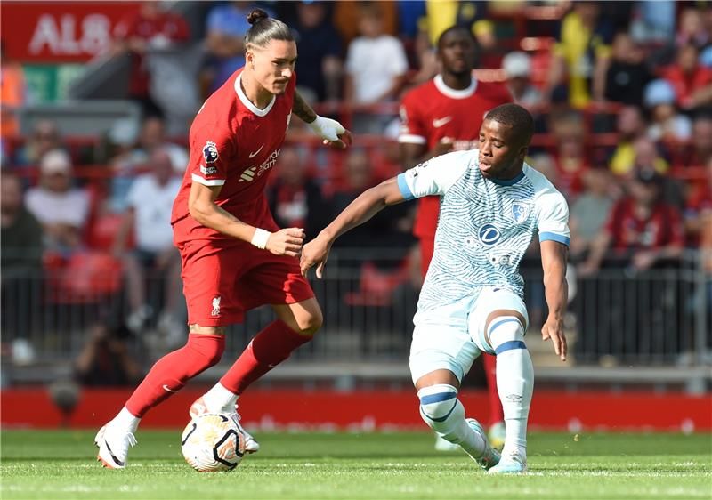 حميد تراوري