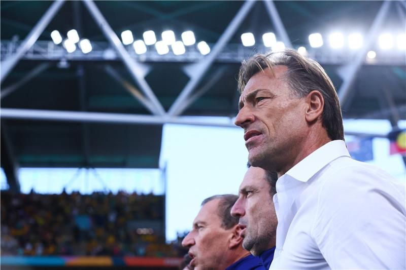 هيرفي رينارد