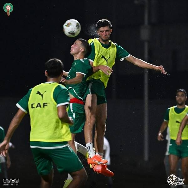 من تدريبات الأسود