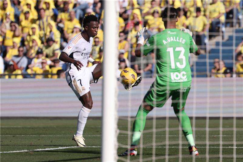 فينيسيوس جونيور