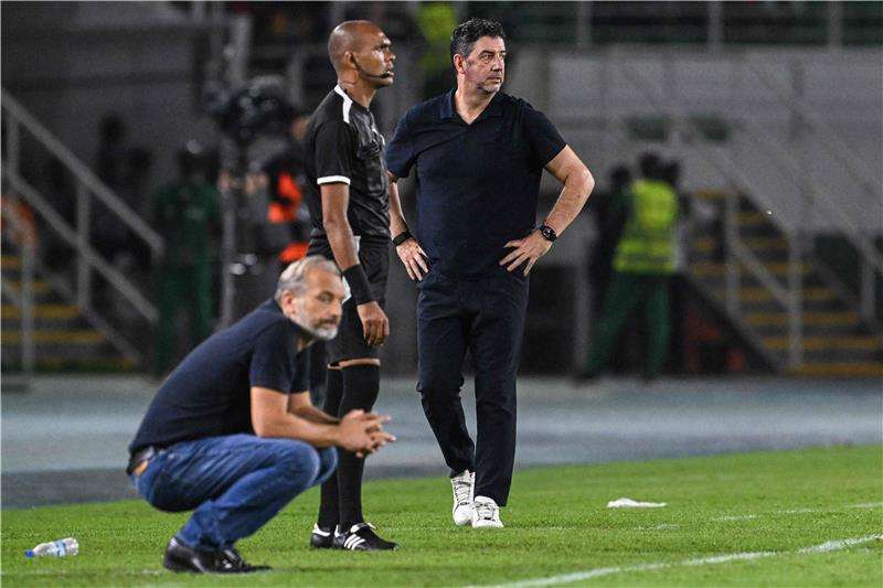 روي فيتوريا