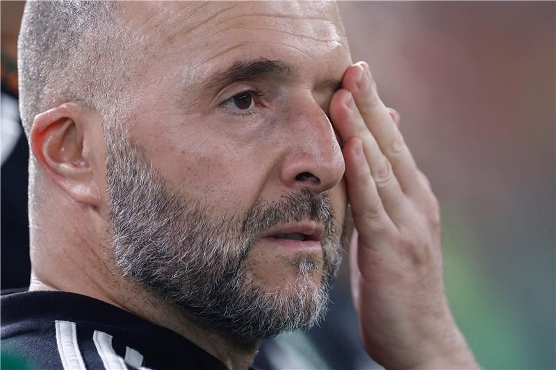 جمال بلماضي