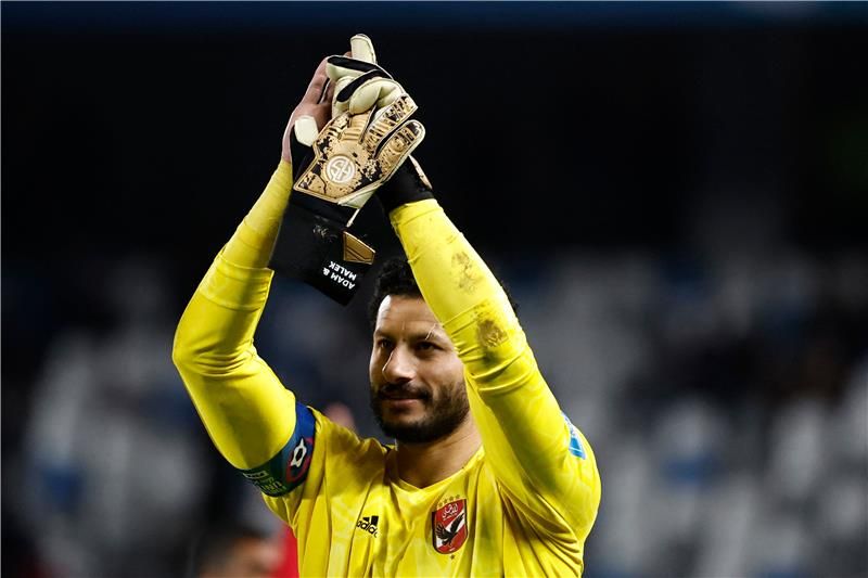 محمد الشناوي