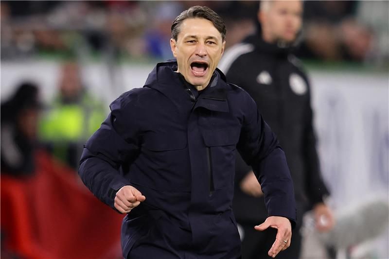 نيكو كوفاتش