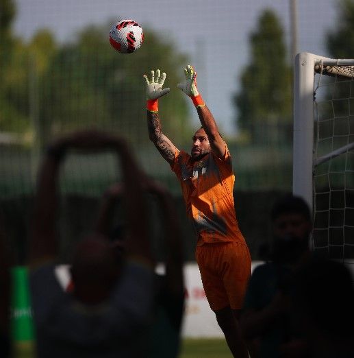 ديفيد أوسبينا