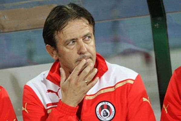 ديان بيتكوف 