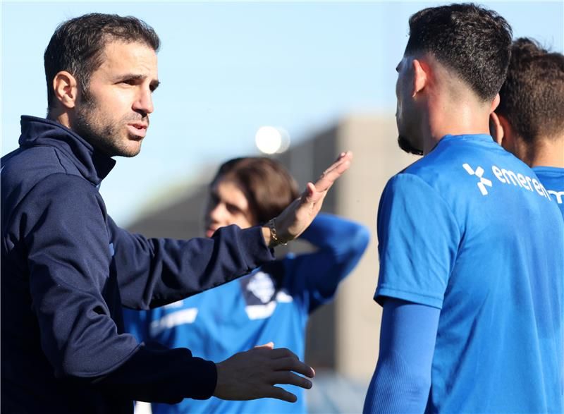 سيسك فابريجاس