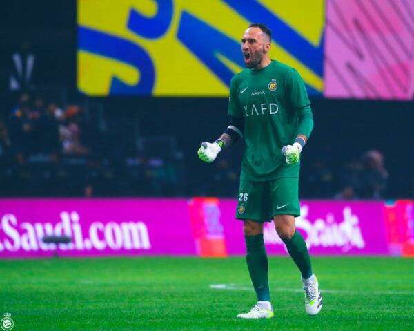 ديفيد أوسبينا