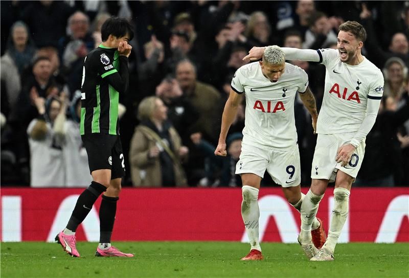 لاعبو توتنهام