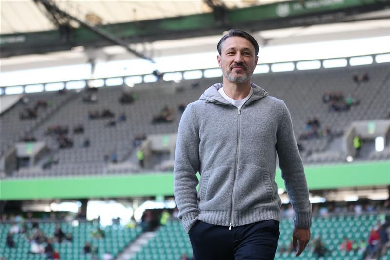 نيكو كوفاتش