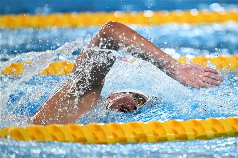 أحمد الحفناوي