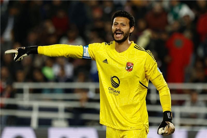 محمد الشناوي