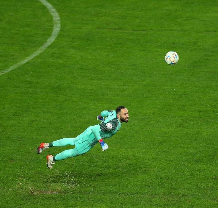 دافيد أوسبينا