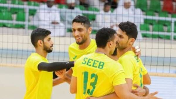 طائرة السيب