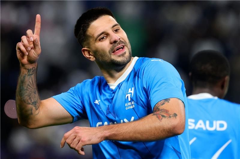 ألكسندر ميتروفيتش