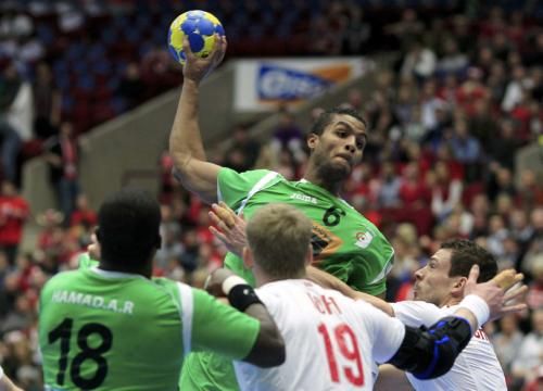 2011-01-192011-01-19t200121z_01_hnd327_rtridsp_3_handball_reuters