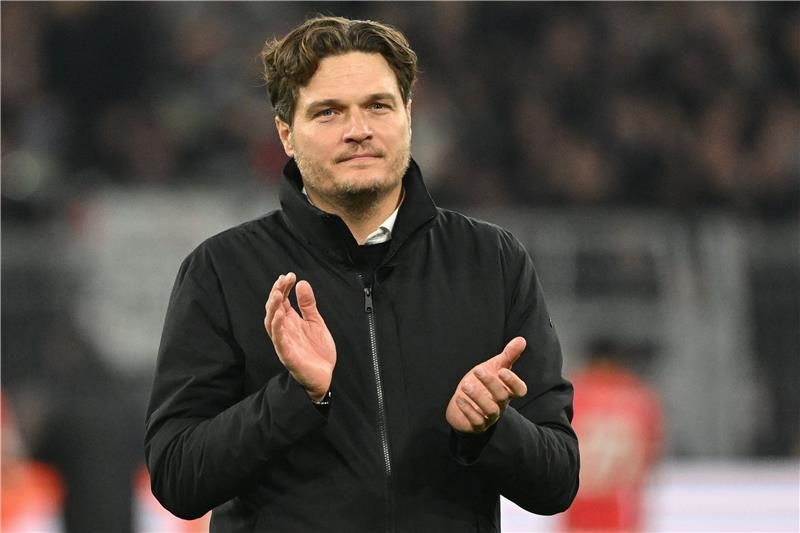 إدين تيرزيتش