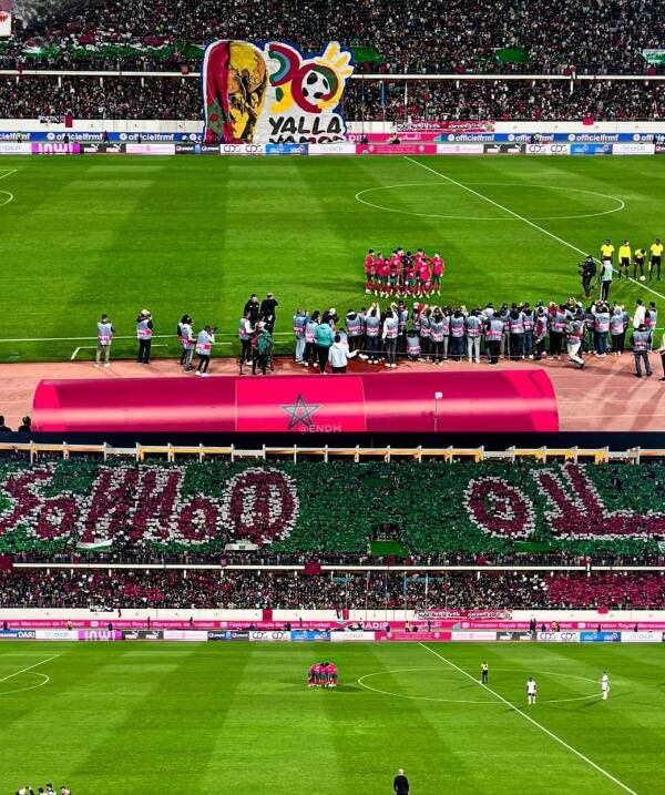 جماهير الأسود