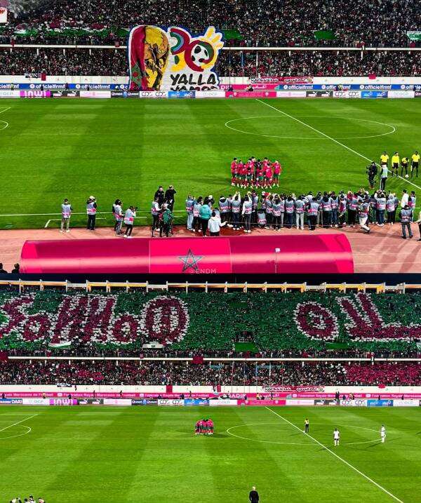 جماهير الأسود