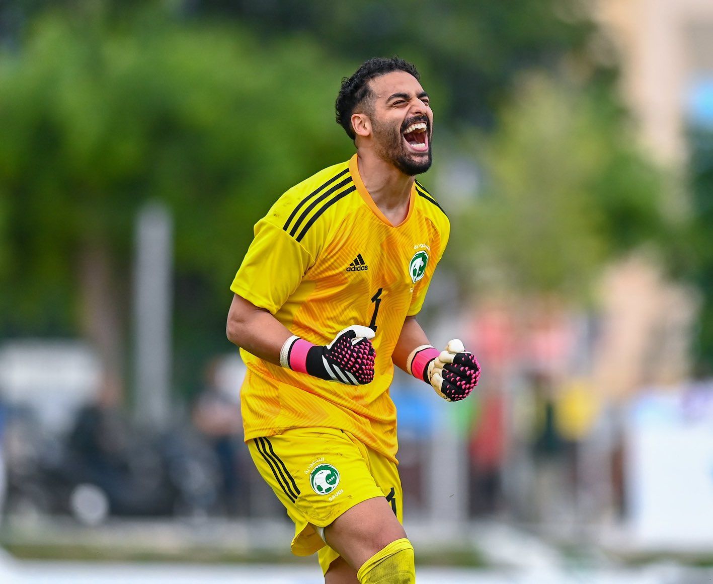 عبد الرحمن الصانبي