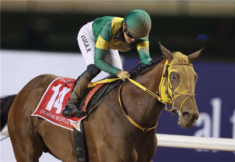 أوشبا تيسورو