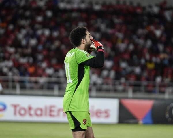 مصطفى شوبير