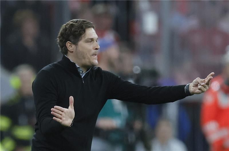 إيدين تيرزيتش