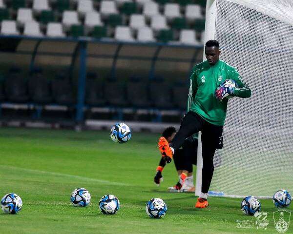 إدوارد ميندي