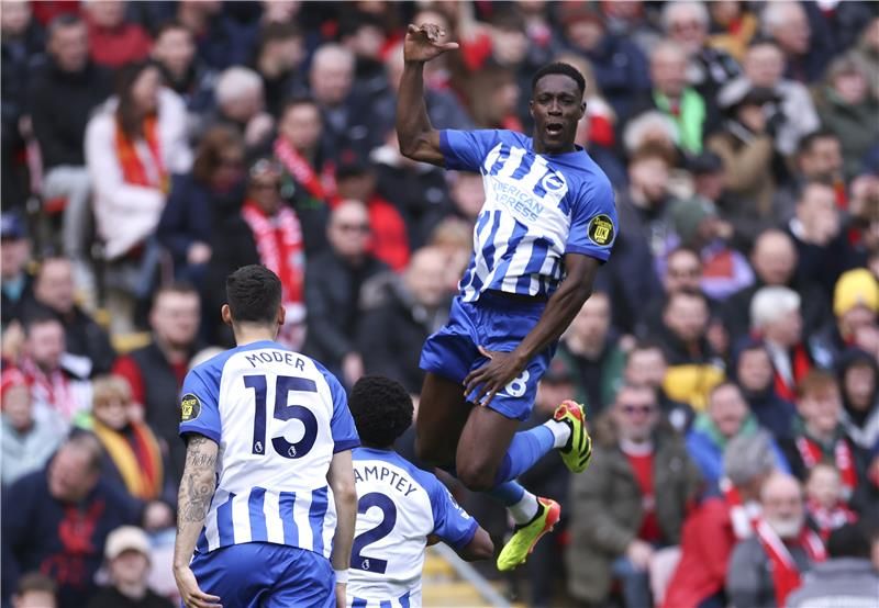 داني ويلبيك