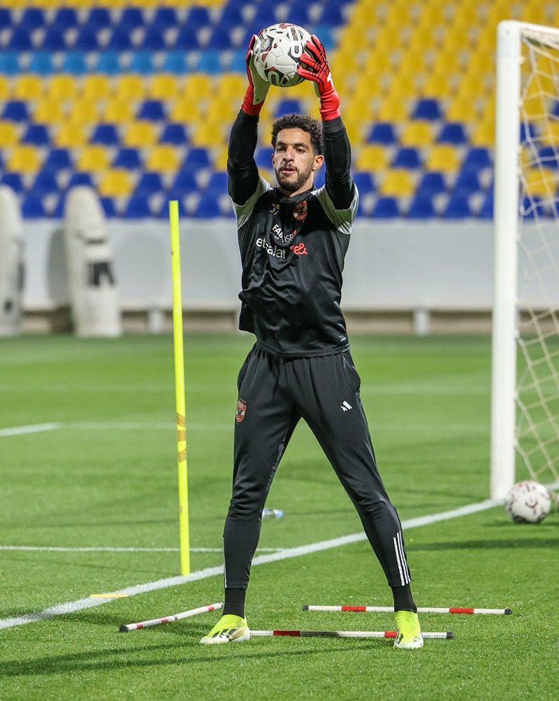 مصطفى شوبير